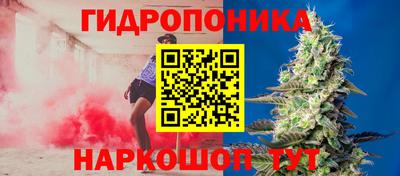 винт Гай