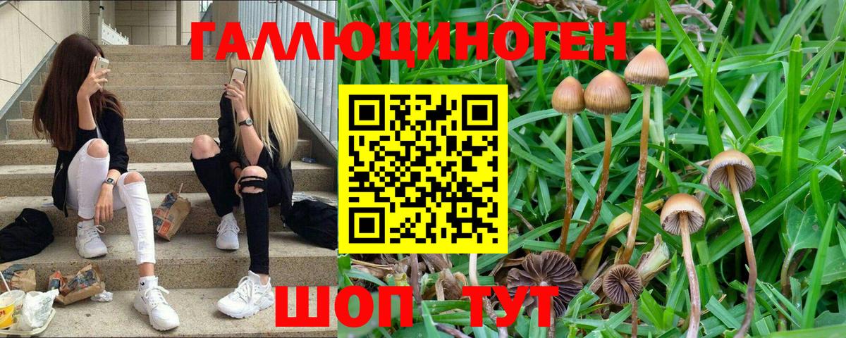 Галлюциногенные грибы ЛСД Нижнеудинск